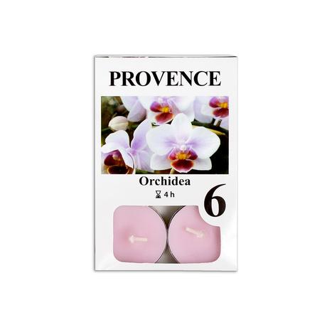 Čajová svíčka PROVENCE 6ks orchidea